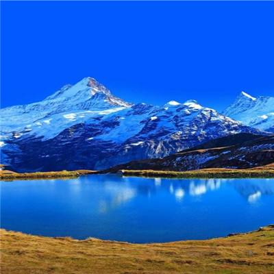 cq9电子游戏app截图